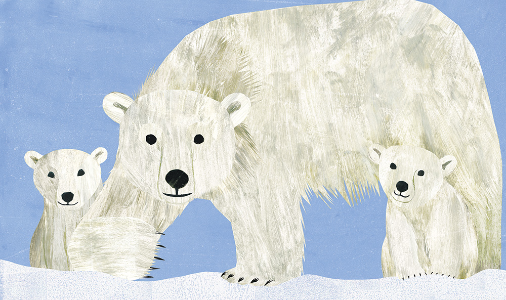 At the Poles Polar Bears